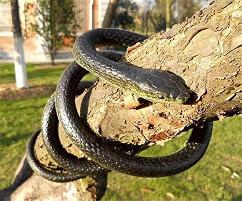 Realistic Rubber Snake Toy - Fake Garden Snake for Pranks | Pest Control & Halloween Decoration | Lifelike Scary Gag Gift