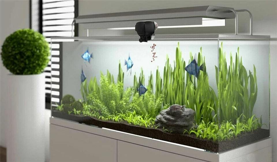 Auto Fish Feeder with Digital Timer | Pond & Aquarium Pet Food Dispenser | Holiday Use | Velcro Strip |