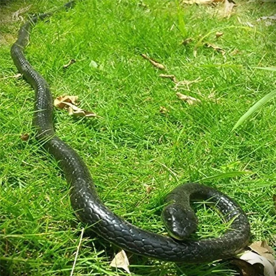 Realistic Rubber Snake Toy - Fake Garden Snake for Pranks | Pest Control & Halloween Decoration | Lifelike Scary Gag Gift