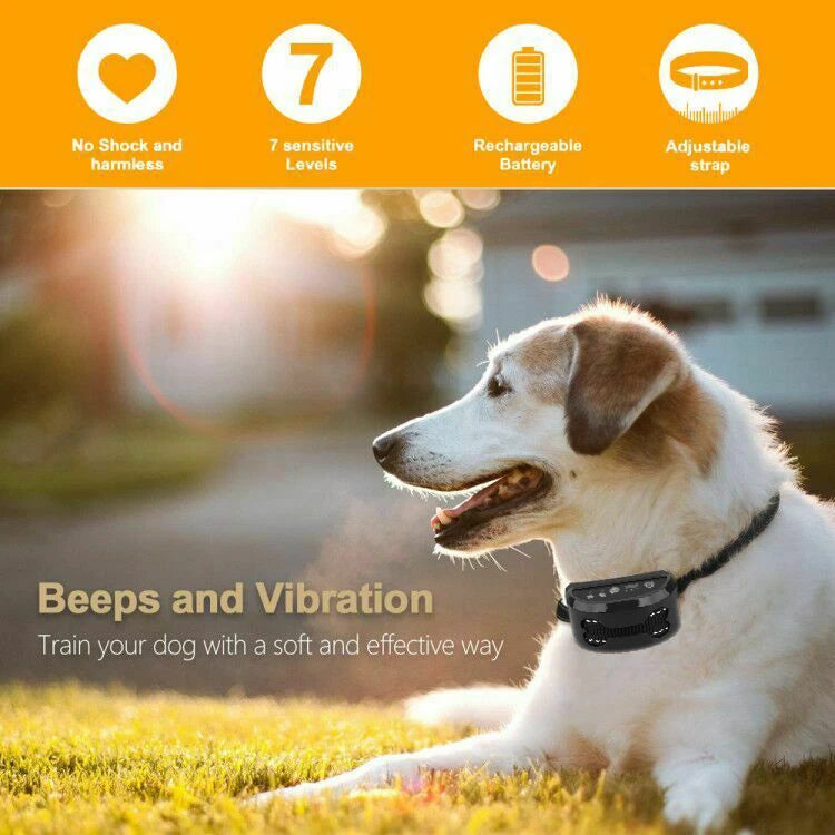 Humane Adjustable Anti Bark Collar | USB Recharge | Nylon Strap Safe | Pain Free Training | Non-Shock Waterproof | Intelligent Recognition | Safe and Pain Free