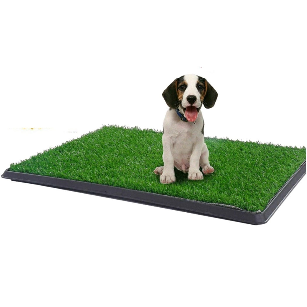 Pet Dog Cat Indoor Artifical Grass Mat | Indoor Pet Toilet Poo Wee Urine Collection Tray Set