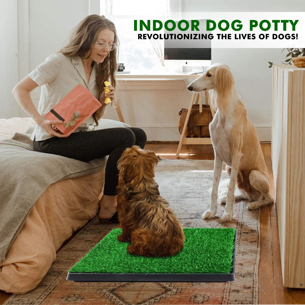 Pet Dog Cat Indoor Artifical Grass Mat | Indoor Pet Toilet Poo Wee Urine Collection Tray Set