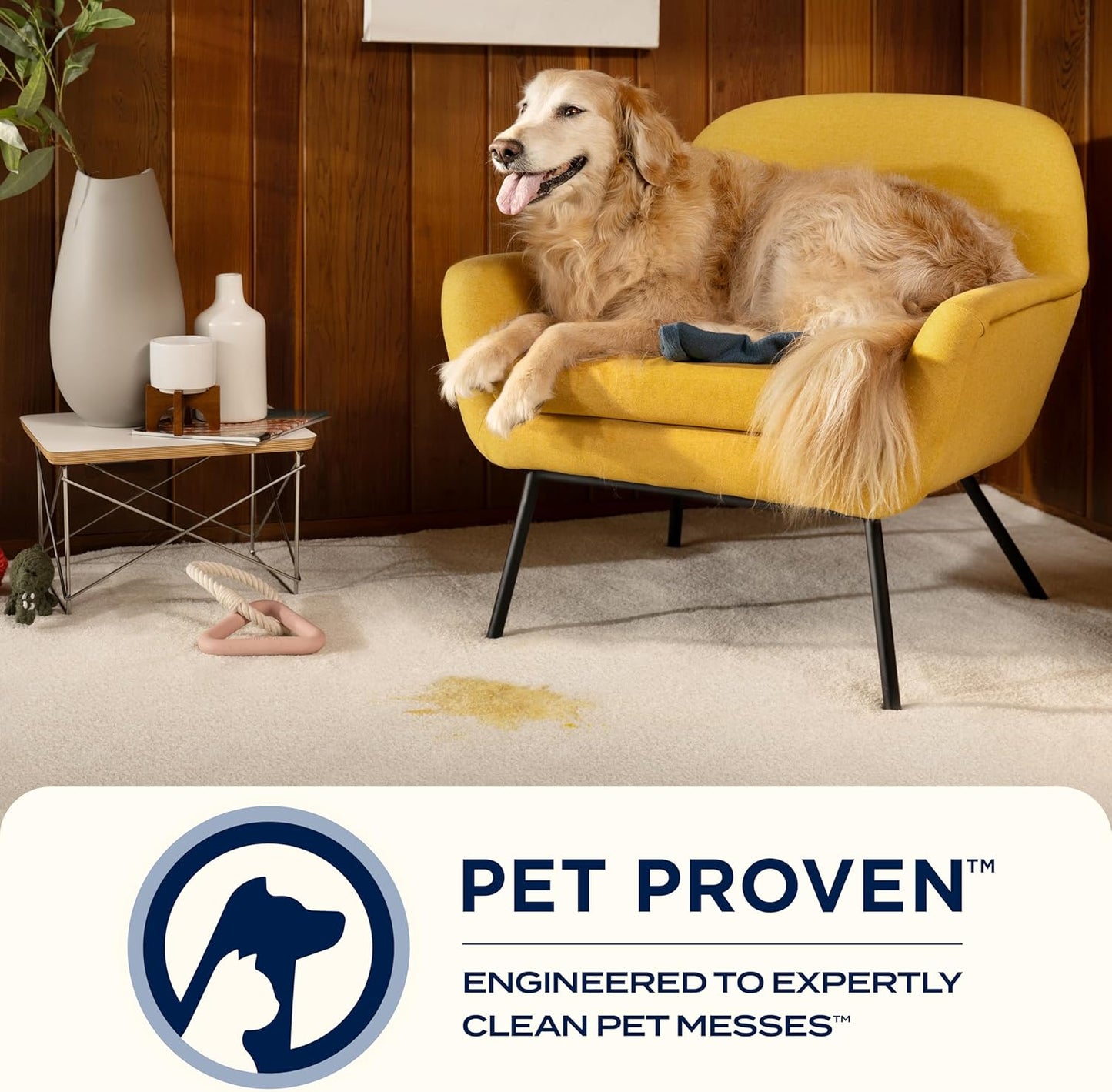 BISSELL Portable Carpet Upholstery Spot Cleaner Vacuum | Pet Mess Stain Odour Remover