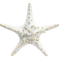 Resin Starfish | Decorative Home Display | Coffee Table Sculpture 21x19cm  | Coastal Touch | Elegant