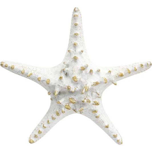 Resin Starfish | Decorative Home Display | Coffee Table Sculpture 21x19cm  | Coastal Touch | Elegant