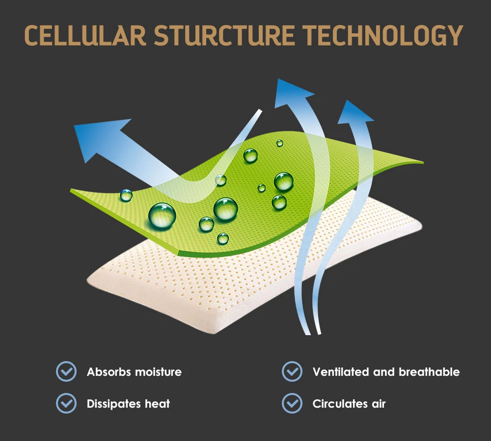 2x Luxury Latex Pillow | Low profile Firm Neck Body Support Side Sleeper | Hypoallergenic Antibacterial