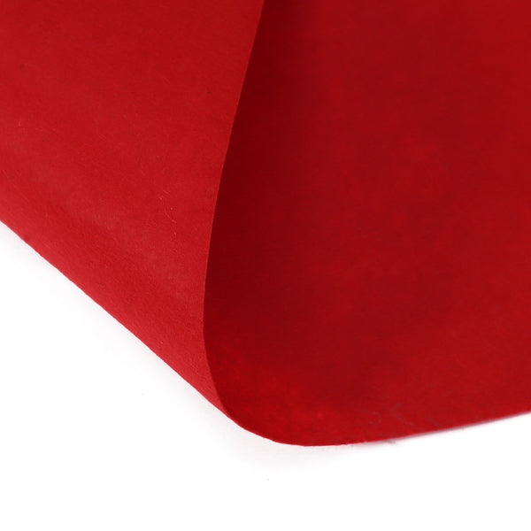 Red Carpet Runner 50m | Wedding Entrance Gala Party Birthday Casino Decoration Decor
