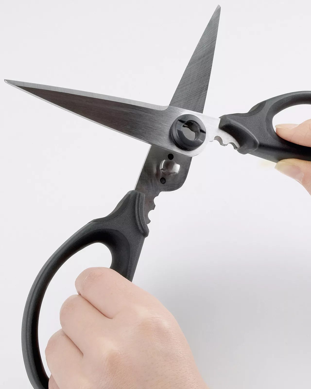 OXO Kitchen Herb Cutting Scissors| Stainless Steel Meat Vegetable Cheese Cutting Shears| BPA Free