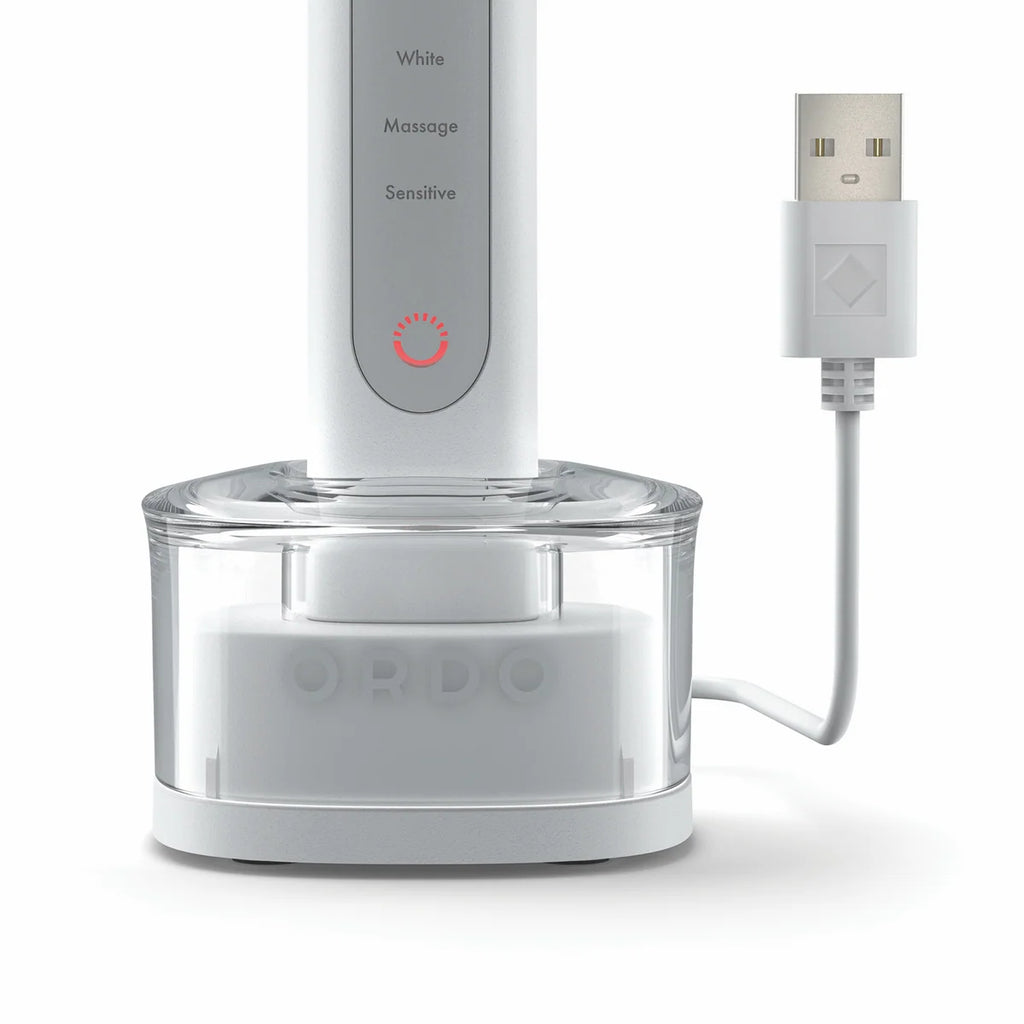 Ordo Sonic Electric Toothbrush Waterproof Design, Rechargeable Battery Long Lasting Battery, Healthy Teeth and Gums