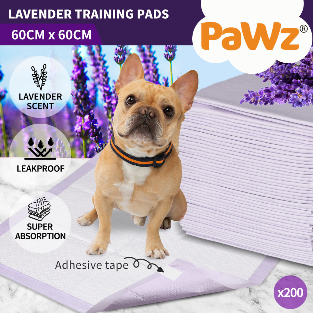 200x Scented Puppy Dog Training Pads  Absorbent Poo Wee Collecting Mats Pet Leakproof Indoor Room Toileting 60x60cm