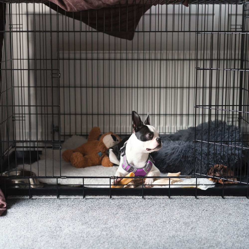 4Paws Foldable Metal Wire Portable Travel Pet Cage w/ ABS Tray 106x77cm Black