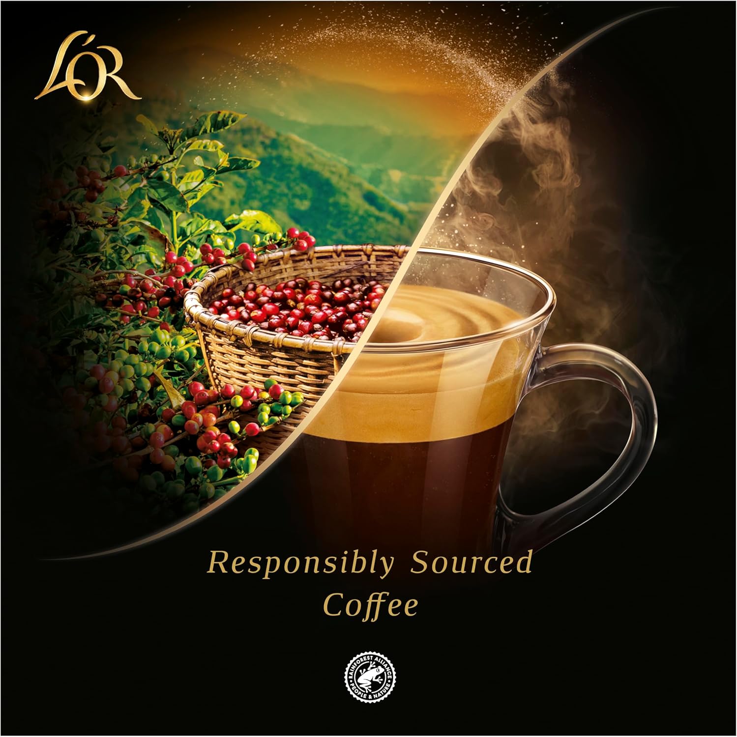 100 Pack L’OR Espresso Grande Assortment Pack | Nespresso Compatible Capsules Pods for Coffee Machines