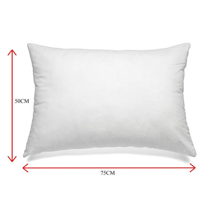 Royal Comfort 1000 GSM Duck Feather & Down Cotton Bedding Pillow | Two Pcs 50x75cm | White