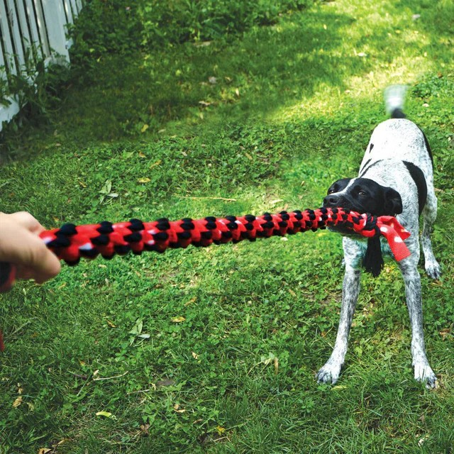 KONG Signature Rope Toy | Dual Knot with Ball Dog Toy | Braided Cotton Chew Toy | Fleece Rope