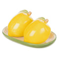 Emporium Limoncello Salt & Pepper Set | Stylish Salt & Pepper Duo | Stoneware Salt & Pepper | Modern Kitchen |