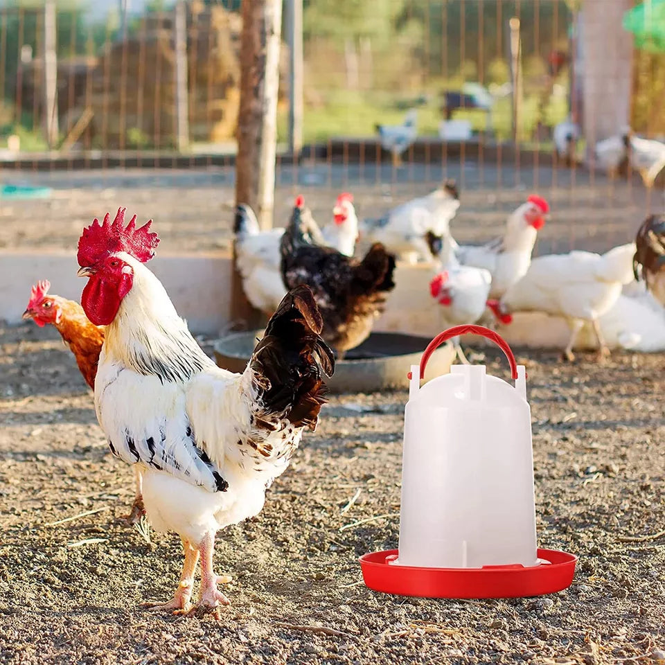 Portable Automatic Chicken Bird Chook Poultry Food Water Feeder Drinker Waterer