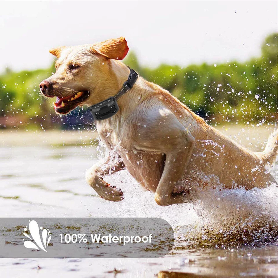 Humane Adjustable Anti Bark Collar | USB Recharge | Nylon Strap Safe | Pain Free Training | Non-Shock Waterproof | Intelligent Recognition | Safe and Pain Free