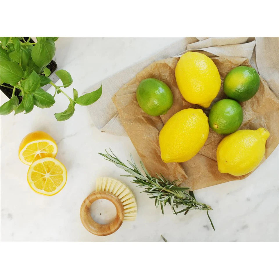 The Ring Veggie Brush by Full Circle | BPA Free | Tough Recycled Plant Fibre Bristles