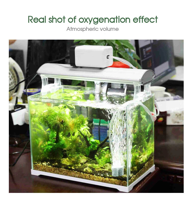 Aquarium Oxygen Pump | Aqua Fish Tank Pond Air Bubble | Disk Stone Aerator 2 Outlets | 15hPa pressure output | Suitable for Freshwater & Saltwater Aquariums