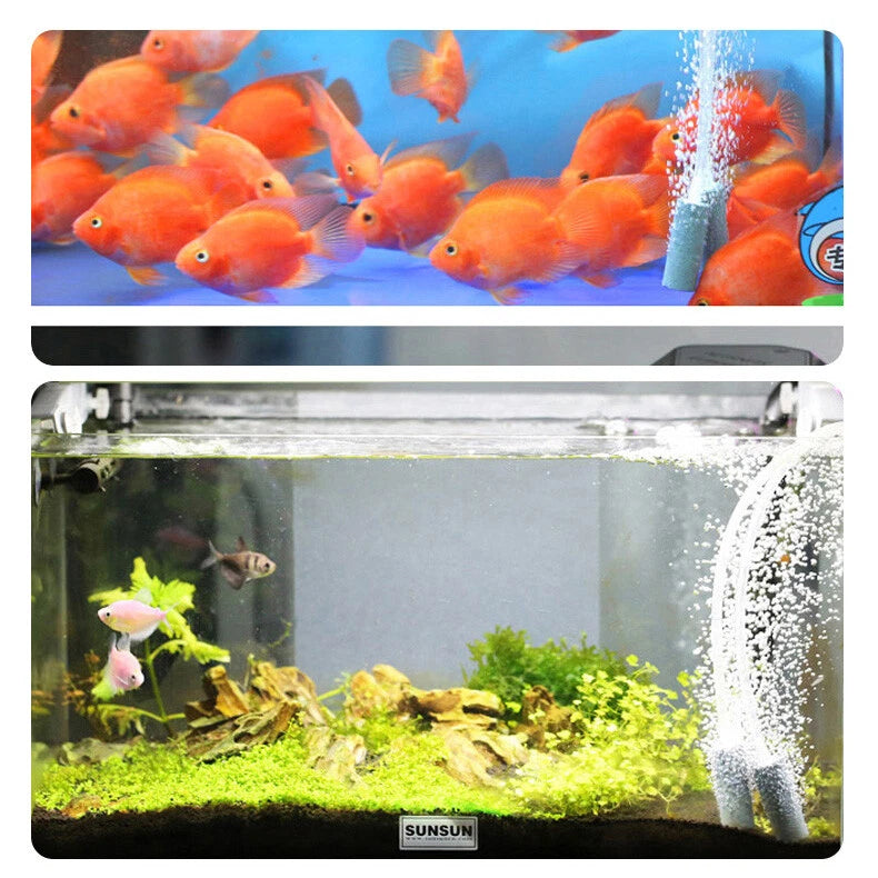 Aquarium Oxygen Pump | Aqua Fish Tank Pond Air Bubble | Disk Stone Aerator 2 Outlets | 15hPa pressure output | Suitable for Freshwater & Saltwater Aquariums